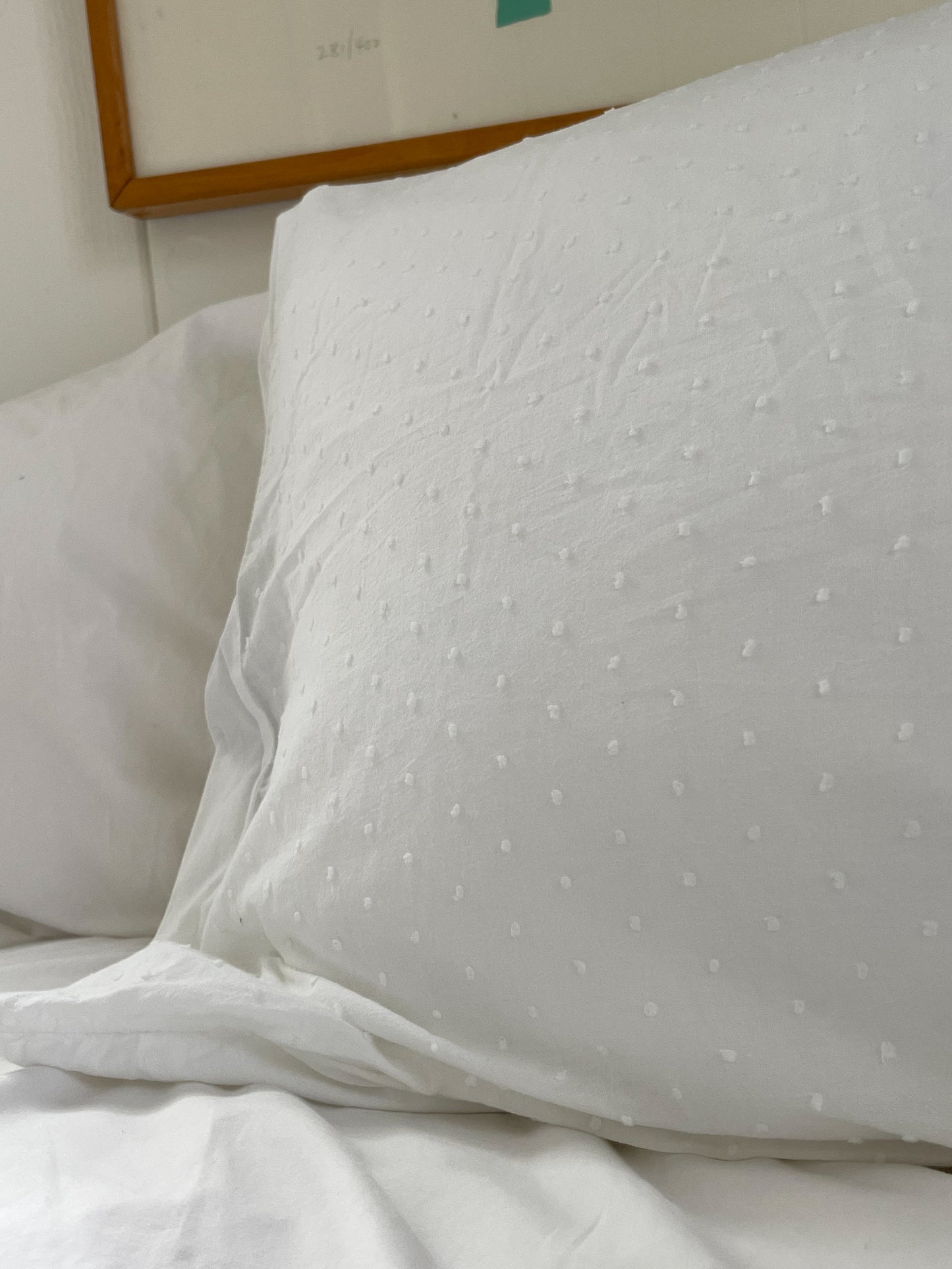 Swiss Dot Pillowcases, Standard Set of 2