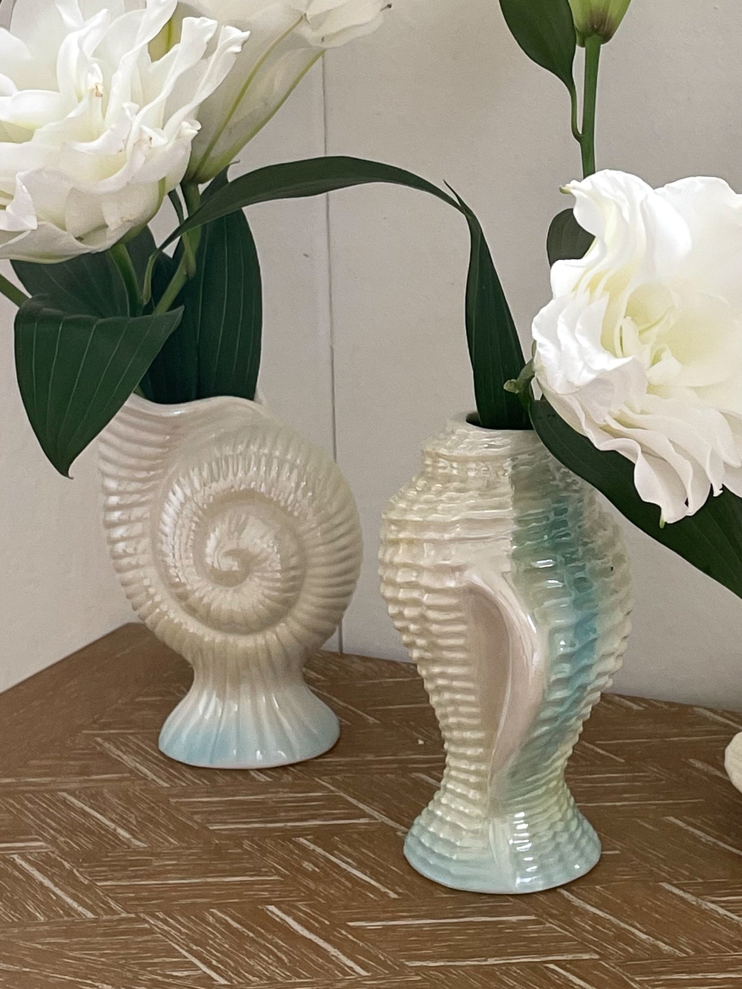 Hallie Shell Vases